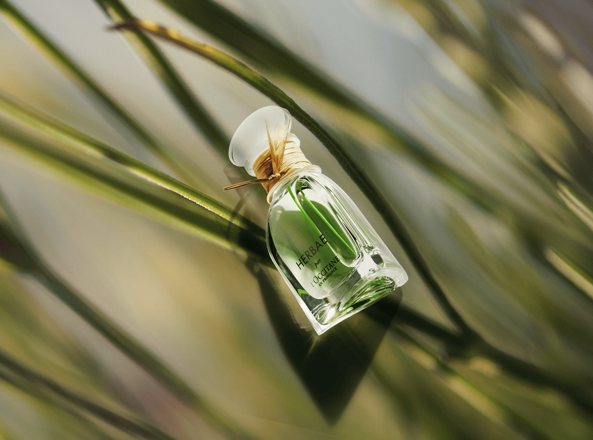 Herbae par L'OCCITANE | L'Occitane – L'Occitane Romania