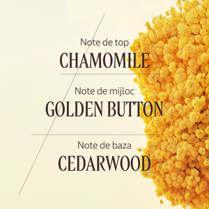 Apa de parfum Barbotine