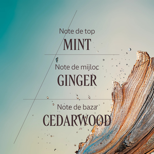 Apa de Toaleta Cèdre Gingembre (Cap Cedrat)