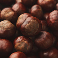 Chestnut Featured Ingredient - L'Occitane