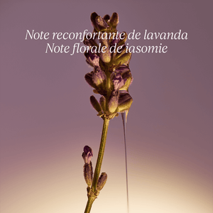 Sapun lichid pentru maini si corp cu Shea si Lavanda