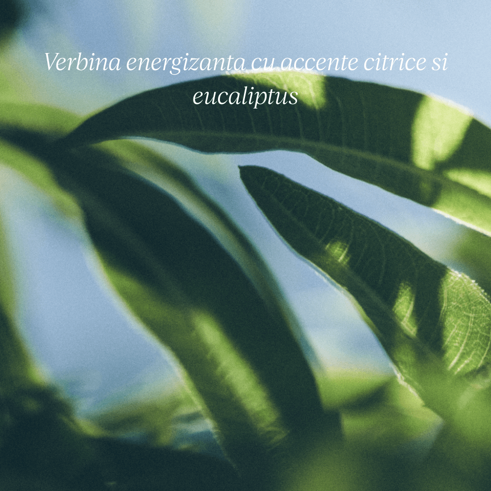 Sapun lichid cu Shea si Verbina