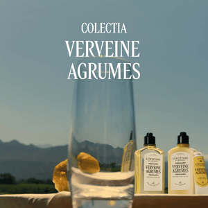 Deodorant stick Verveine Agrumes (Citrice si Verbina)