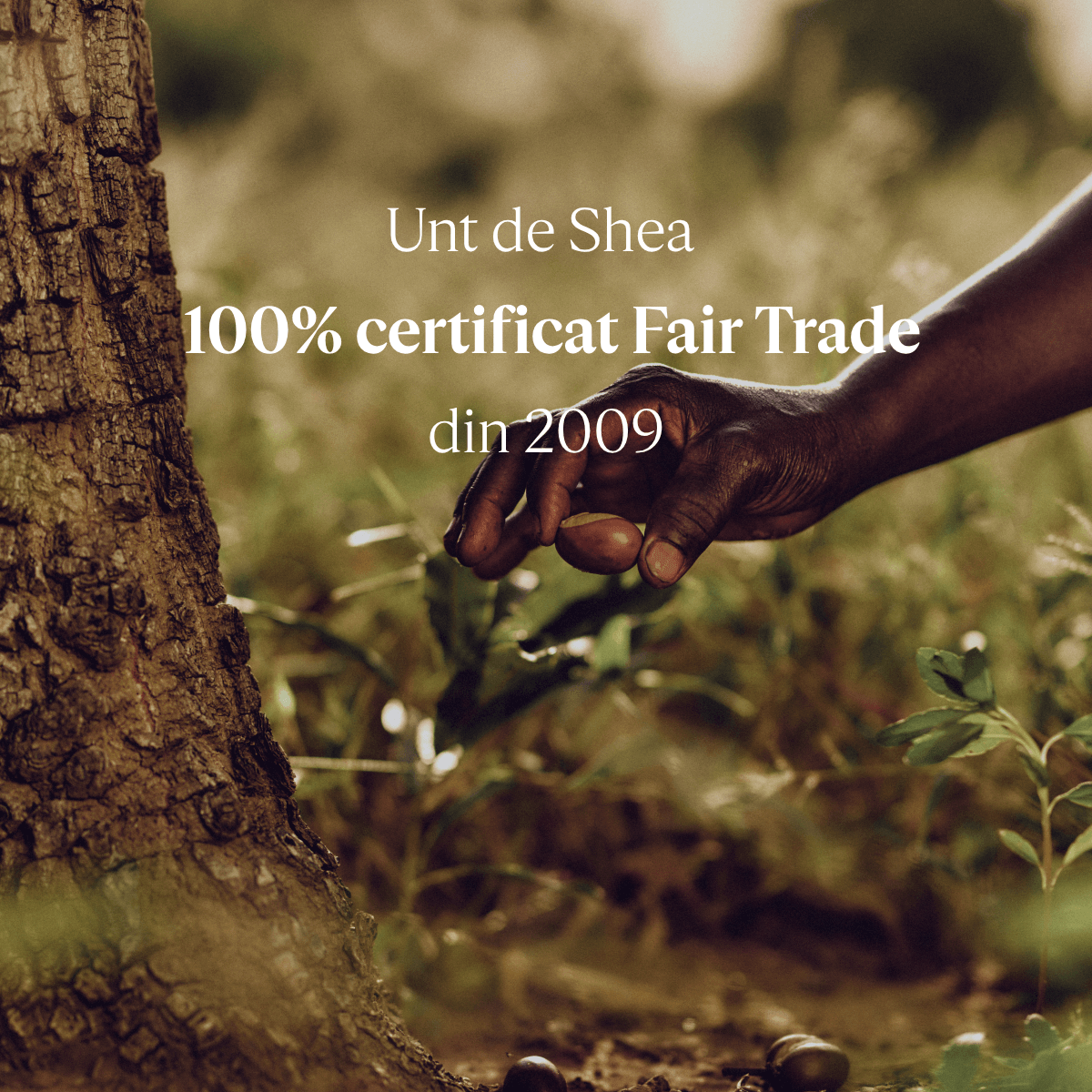 Crema de fata ultra hranitoare cu Unt de Shea