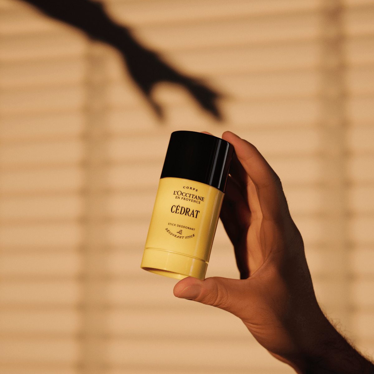 Deodorant Stick Cédrat