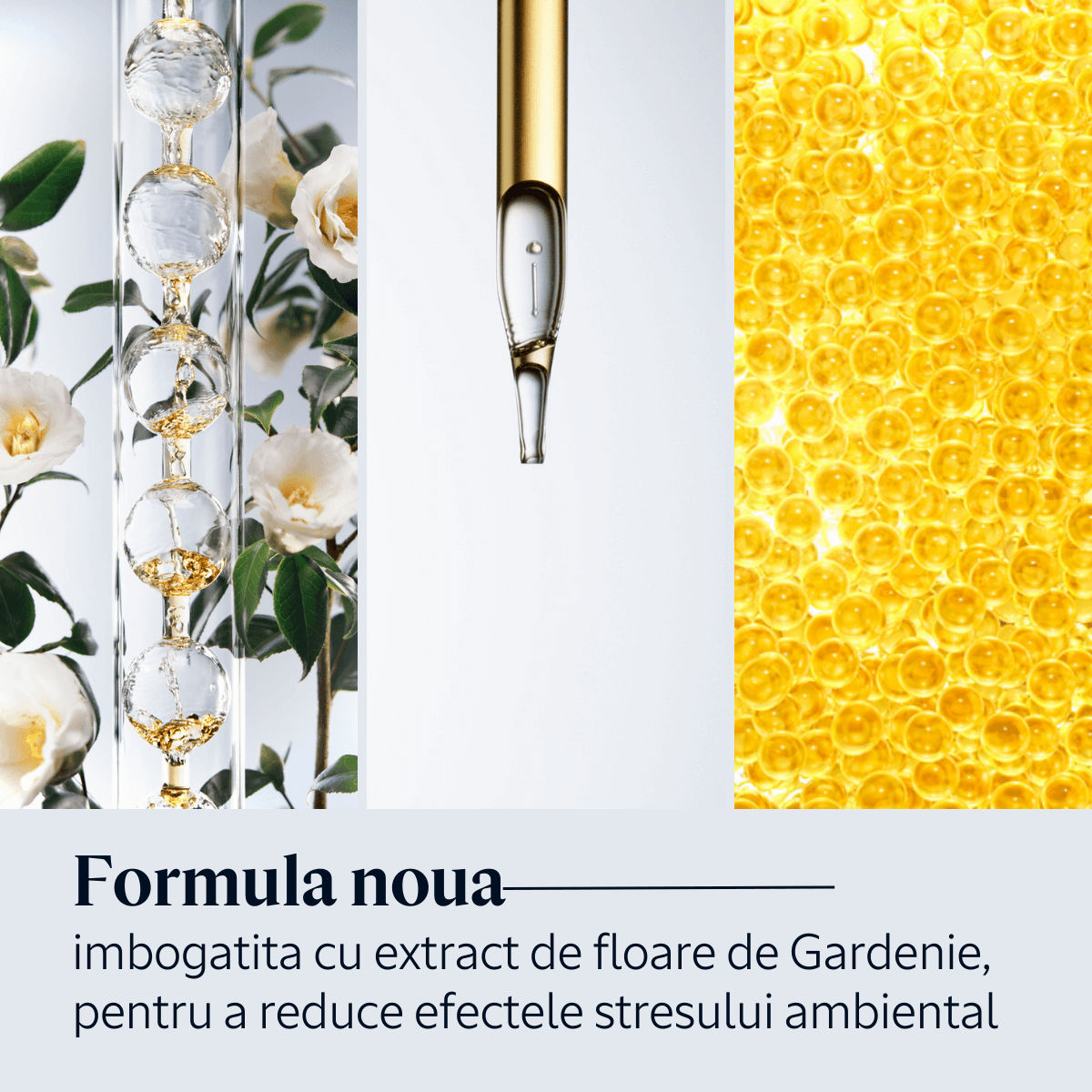 Imortele Overnight Reset Ser pentru fata