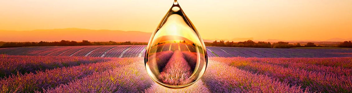 L'Occitane Provence Ulei