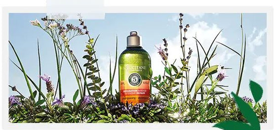 ulei lavanda in camp